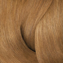 Shades Eq 08WG Golden Apricot - Power Trio | L'Oréal Partner Shop
