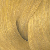 Shades EQ Bonder Inside 09GB Butter Cream - Shades EQ Bonder Inside | L'Oréal Partner Shop