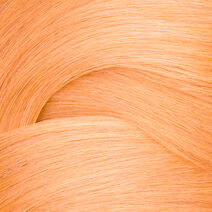 Shades EQ Bonder Inside 010AA Butternut - Power Trio | L'Oréal Partner Shop
